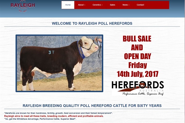 Rayleigh Poll Hereford Stud